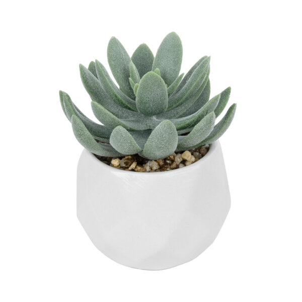 GloboStar® Artificial Garden SUCCULENT SEDEVERIA POTTED PLANT 20998 Διακοσμητικό Φυτό Σεδεβέρια  Φ7 x Υ9cm