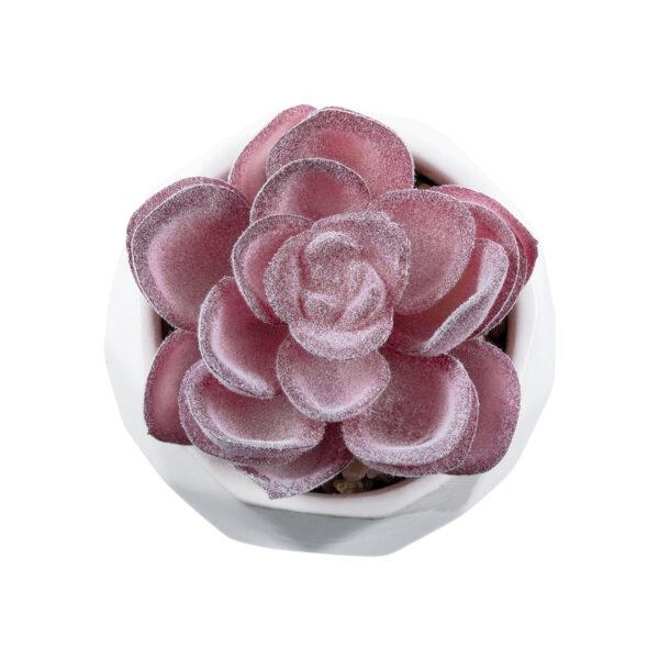 GloboStar® Artificial Garden SUCCULENT ECHEVERIA 21000 Διακοσμητικό Φυτό Παχύφυτο Εχεβέρια Υ7.5cm - Image 2