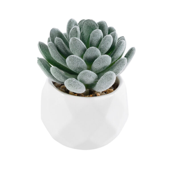 GloboStar® Artificial Garden SUCCULENT SEDEVERIA 21001 Διακοσμητικό Φυτό Παχύφυτο Σεντεβέρια Υ9.5cm