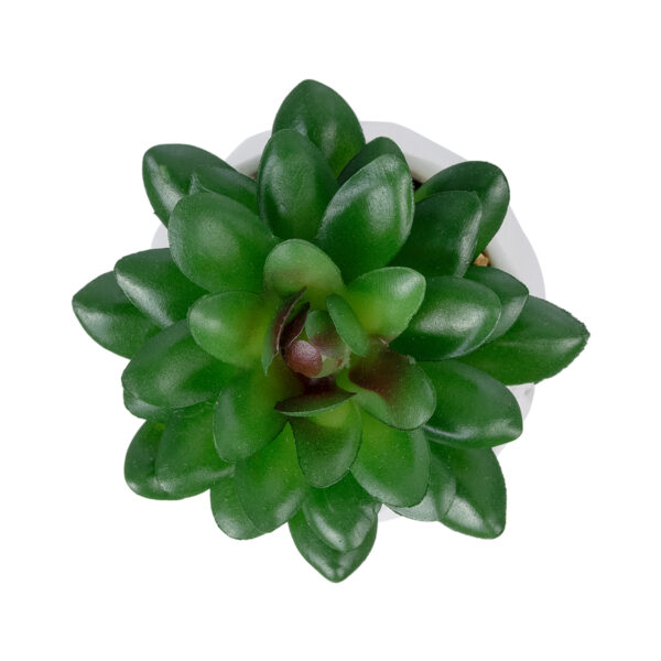 GloboStar® Artificial Garden SUCCULENT SEDEVERIA POTTED PLANT 21002 Διακοσμητικό Φυτό Σεδεβέρια  Φ8 x Υ9cm - Image 2