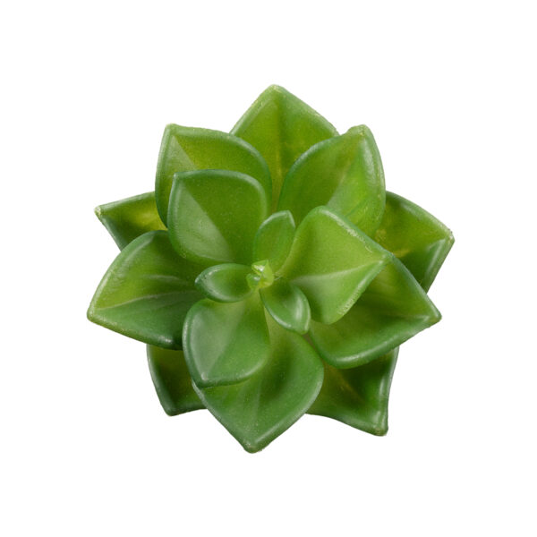 GloboStar® Artificial Garden SUCCULENT ECHEVERIA 21003 Διακοσμητικό Φυτό Παχύφυτο Εχεβέρια Υ8cm - Image 2