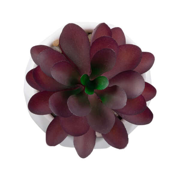 GloboStar® Artificial Garden SUCCULENT CRASSULA 21004 Διακοσμητικό Φυτό Παχύφυτο Κράσουλα Υ9.5cm - Image 2