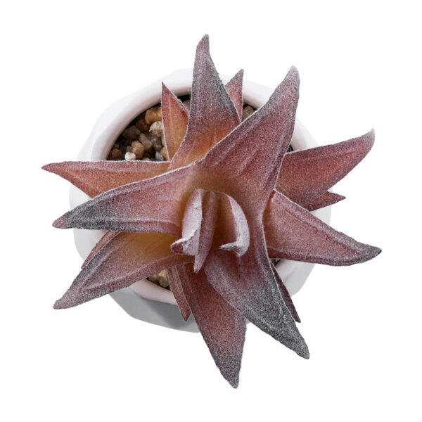 GloboStar® Artificial Garden SUCCULENT ALOE 21006 Διακοσμητικό Φυτό Παχύφυτο Αλόη Υ10cm - Image 2