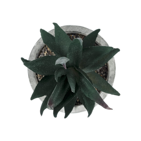 GloboStar® Artificial Garden SUCCULENT ALOE POTTED PLANT 21007 Διακοσμητικό Φυτό Αλόη  Φ7 x Υ14cm - Image 2