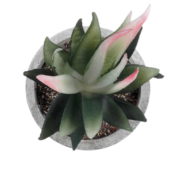 GloboStar® Artificial Garden SUCCULENT ALOE 21008 Διακοσμητικό Φυτό Παχύφυτο Αλόη Υ14cm - Image 2