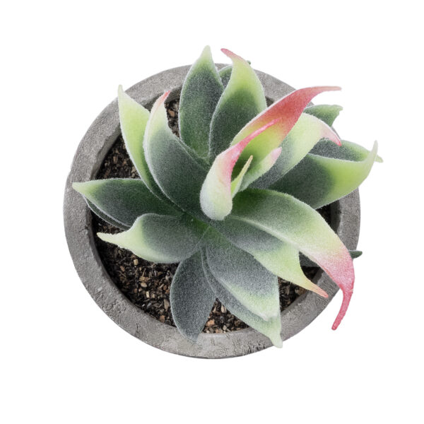 GloboStar® Artificial Garden SUCCULENT ALOE 21009 Διακοσμητικό Φυτό Παχύφυτο Αλόη Υ14cm - Image 2