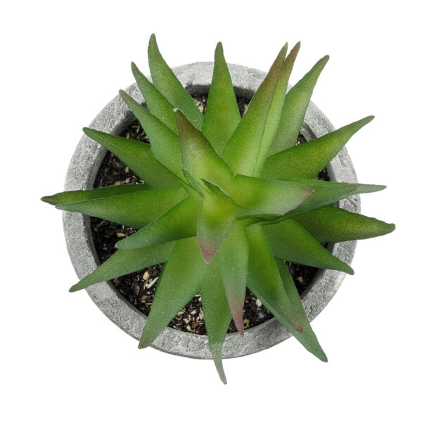 GloboStar® Artificial Garden SUCCULENT ALOE 21010 Διακοσμητικό Φυτό Παχύφυτο Αλόη Υ11cm - Image 2