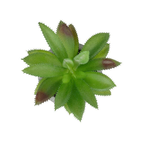 GloboStar® Artificial Garden SUCCULENT ALOE POTTED PLANT 21012 Διακοσμητικό Φυτό Αλόη  Φ9 x Υ13cm - Image 2