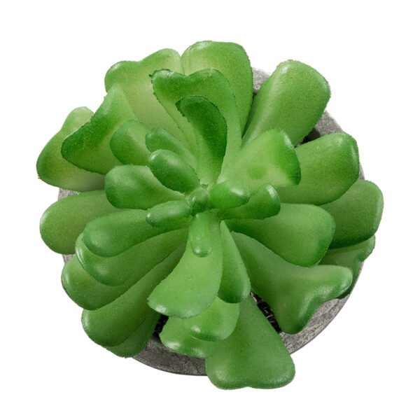 GloboStar® Artificial Garden SUCCULENT CRASSULA 21014 Διακοσμητικό Φυτό Παχύφυτο Κράσουλα Υ11.5cm - Image 2