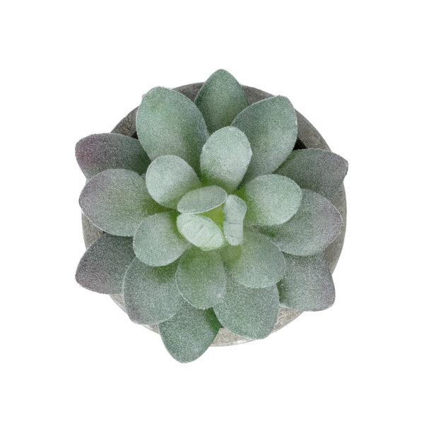 GloboStar® Artificial Garden SUCCULENT SEDEVERIA POTTED PLANT 21016 Διακοσμητικό Φυτό Σεδεβέρια  Φ7 x Υ8cm - Image 2