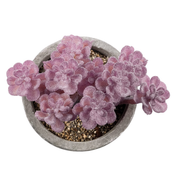 GloboStar® Artificial Garden SUCCULENT SEDUM 21017 Διακοσμητικό Φυτό Παχύφυτο Σέδο Υ10cm - Image 2