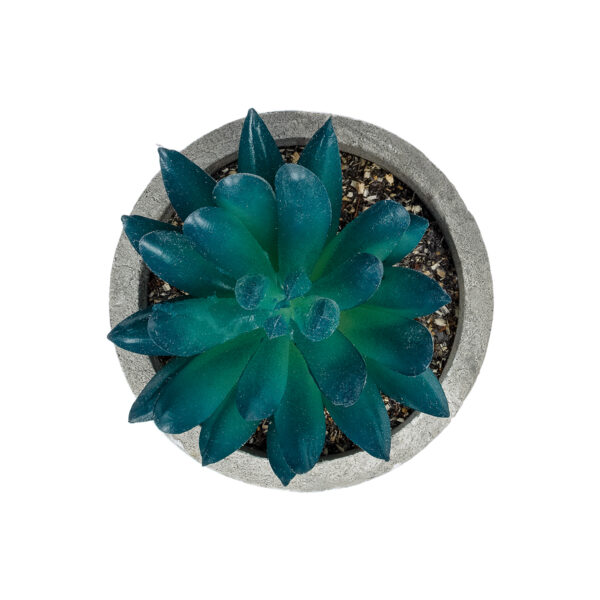 GloboStar® Artificial Garden SUCCULENT SEDEVERIA POTTED PLANT 21018 Διακοσμητικό Φυτό Σεδεβέρια  Φ6,5 x Υ9cm - Image 2