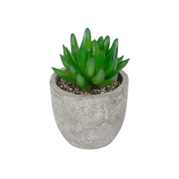 GloboStar® Artificial Garden SUCCULENT SEDEVERIA POTTED PLANT 21019 Διακοσμητικό Φυτό Σεδεβέρια  Φ6,5 x Υ9cm