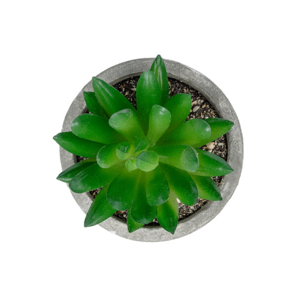 GloboStar® Artificial Garden SUCCULENT SEDEVERIA POTTED PLANT 21019 Διακοσμητικό Φυτό Σεδεβέρια  Φ6,5 x Υ9cm - Image 2