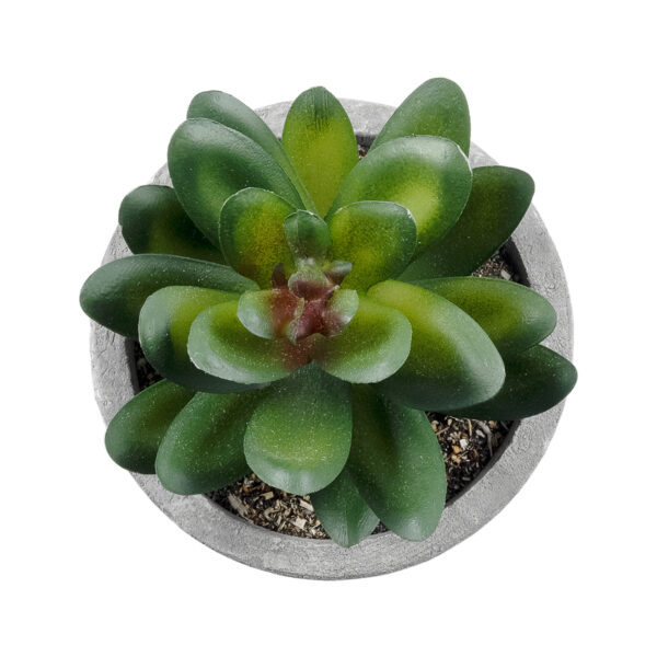 GloboStar® Artificial Garden SUCCULENT SEDEVERIA 21023 Διακοσμητικό Φυτό Παχύφυτο Σεντεβέρια Υ10cm - Image 2