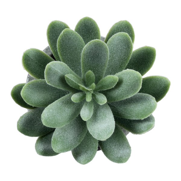 GloboStar® Artificial Garden SUCCULENT SEDEVERIA 21025 Διακοσμητικό Φυτό Παχύφυτο Σεντεβέρια Υ10.5cm - Image 2