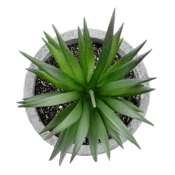 GloboStar® Artificial Garden SUCCULENT ALOE 21030 Διακοσμητικό Φυτό Παχύφυτο Αλόη Υ10cm - Image 2