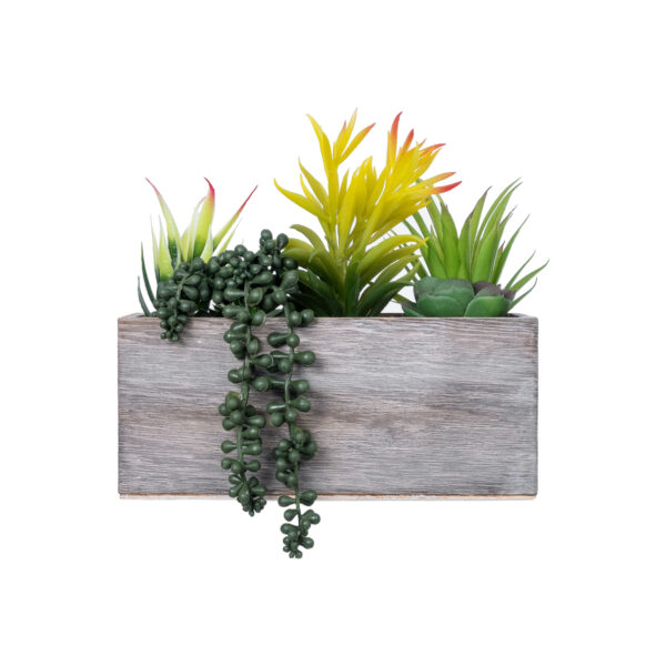 GloboStar® Artificial Garden SUCCULENT VARIUS PLANT POTTED 21034 Διακοσμητικό Φυτό Μίξ Μ23 x Π13 x Υ23cm - Image 2