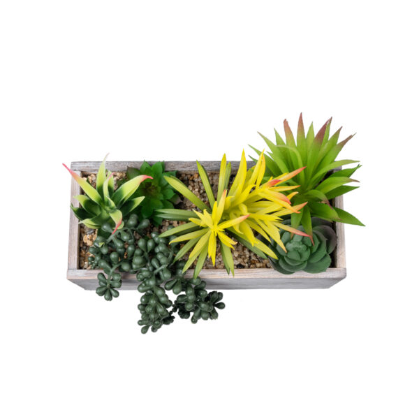 GloboStar® Artificial Garden SUCCULENT VARIUS PLANT POTTED 21034 Διακοσμητικό Φυτό Μίξ Μ23 x Π13 x Υ23cm - Image 3