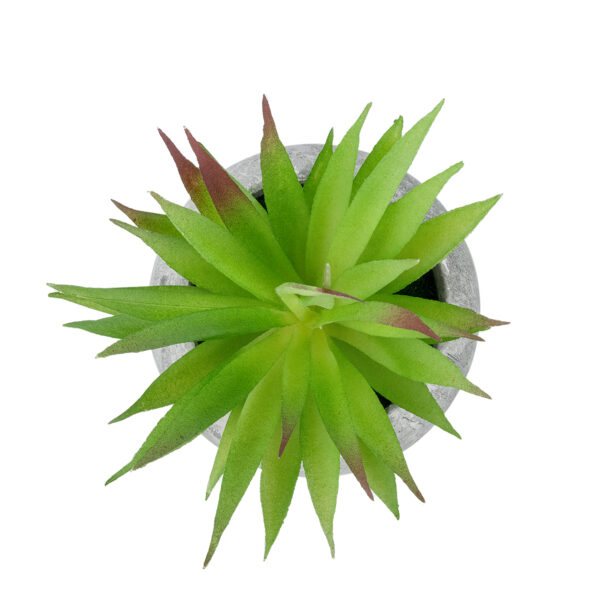 GloboStar® Artificial Garden AIR PLANT TILLANDSIA POTTED PLANT 21036 Διακοσμητικό Φυτό Τιλάντσια Φ12 x Υ15cm - Image 2