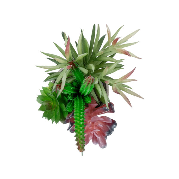 GloboStar® Artificial Garden SUCCULENT VARIUS PLANT POTTED 21039 Διακοσμητικό Φυτό Μίξ Μ17 x Υ20cm - Image 2