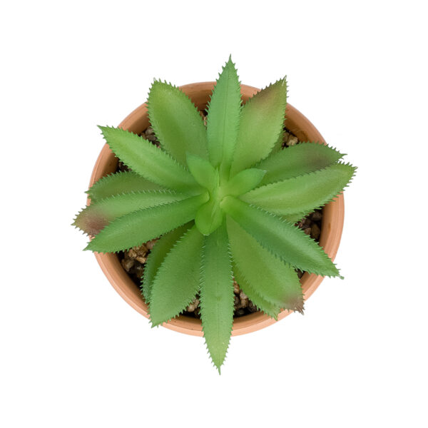 GloboStar® Artificial Garden SUCCULENT ALOE POTTED PLANT 21040 Διακοσμητικό Φυτό Αλόη Φ9 x Υ14cm - Image 2