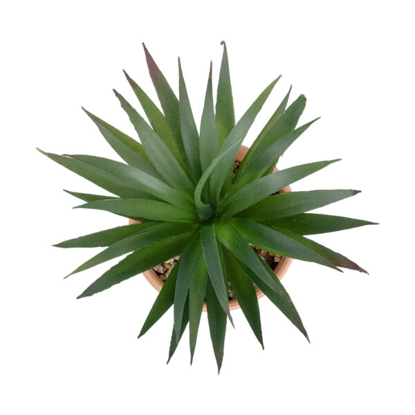 GloboStar® Artificial Garden SUCCULENT SANSEVIERIA POTTED PLANT 21047 Διακοσμητικό Φυτό Σανσεβιέρια  Φ16x Υ20cm - Image 2