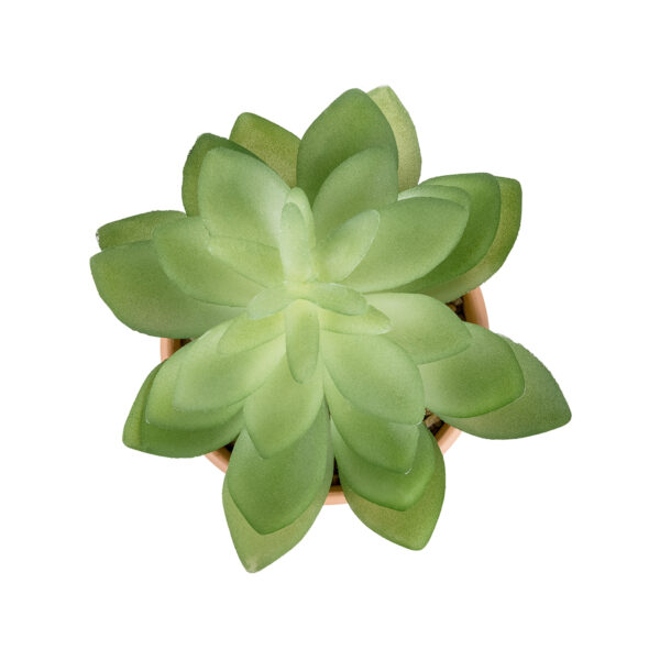 GloboStar® Artificial Garden SUCCULENT ECHEVERIA POTTED PLANT 21048 Διακοσμητικό Φυτό Εχεβέρια Φ13 x Υ18cm - Image 2