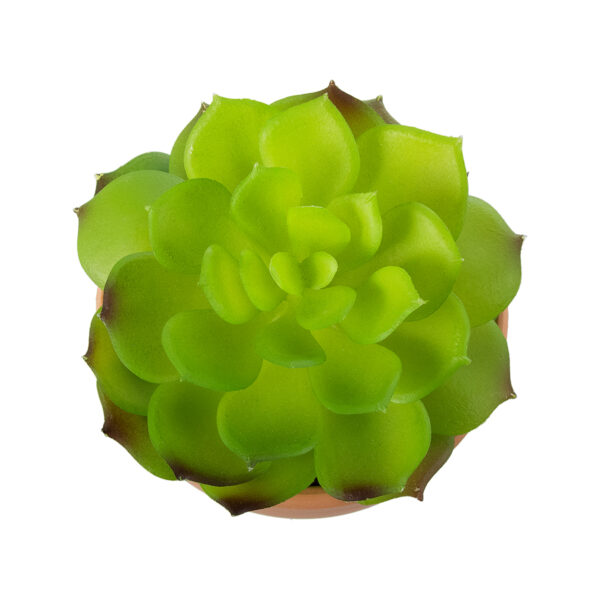 GloboStar® Artificial Garden SUCCULENT ECHEVERIA 21049 Διακοσμητικό Φυτό Παχύφυτο Εχεβέρια Υ14cm - Image 2