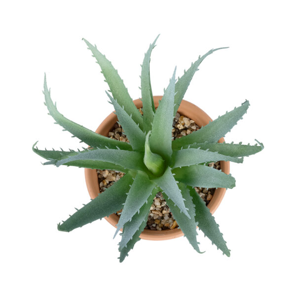 GloboStar® Artificial Garden SUCCULENT ALOE POTTED PLANT 21053 Διακοσμητικό Φυτό Αλόη  Φ15 x Υ19cm - Image 2