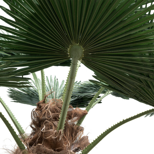 GloboStar® Artificial Garden PLANT PALM TREE 21056 Διακοσμητικό Δέντρο Φοίνικα  Φ240 x Υ500cm - Image 2