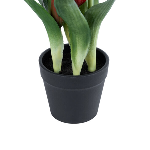 GloboStar® Artificial Garden RED TULIP 21094 Διακοσμητικό Φυτό Κόκκινη Τουλίπα Υ23cm - Image 3