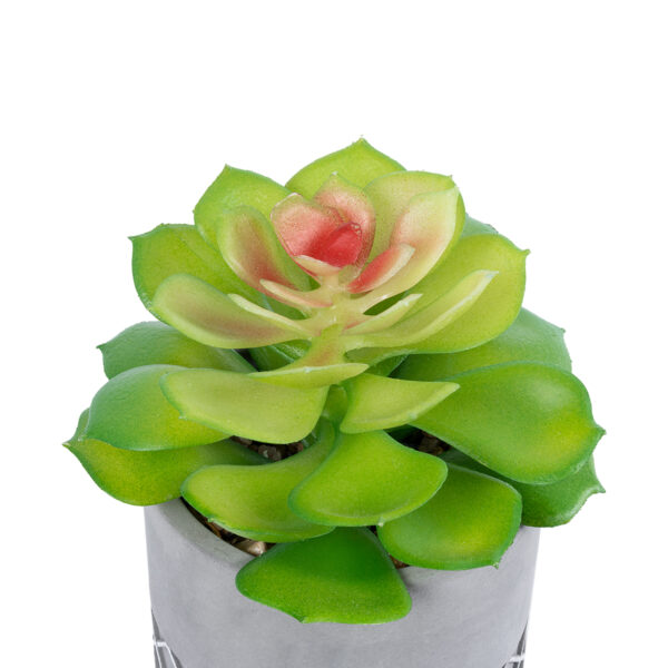 GloboStar® Artificial Garden SUCCULENT SEDEVERIA 21095 Διακοσμητικό Φυτό Παχύφυτο Σεντεβέρια Υ17cm - Image 2