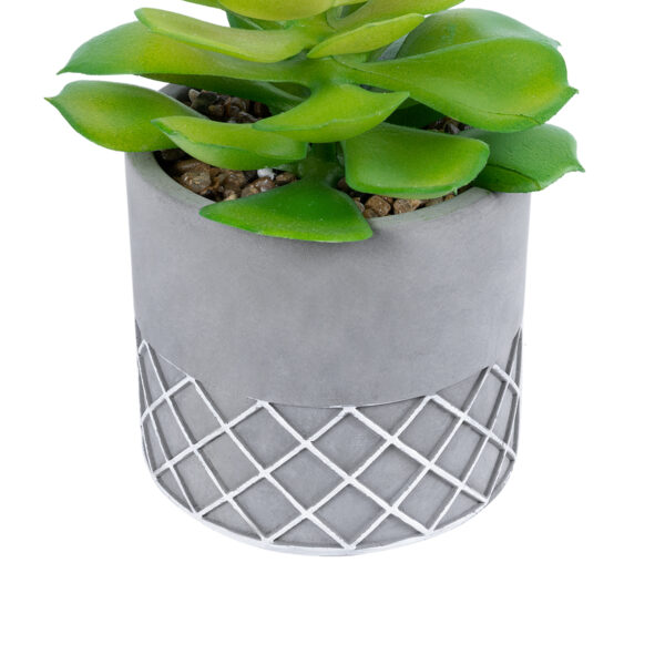 GloboStar® Artificial Garden SUCCULENT SEDEVERIA 21095 Διακοσμητικό Φυτό Παχύφυτο Σεντεβέρια Υ17cm - Image 3