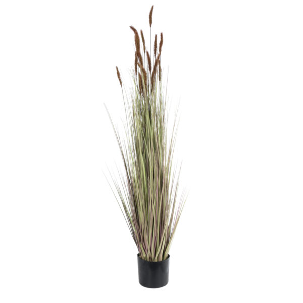 GloboStar® Artificial Garden BROWN LAGURUS 21101 Διακοσμητικό Φυτό Καφέ Λαγοουρά Υ140cm