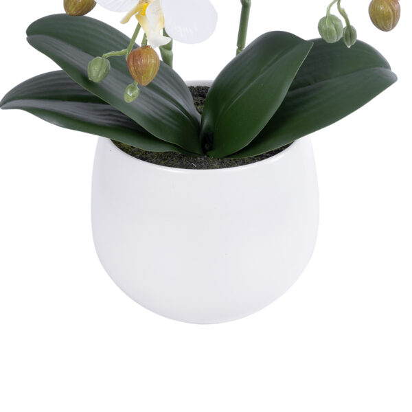 GloboStar® Artificial Garden WHITE ORCHID 21117 Διακοσμητικό Φυτό Λευκή Ορχιδέα Υ45cm - Image 3