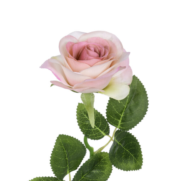 GloboStar® Artificial Garden LIGHT PINK ROSE  BRANCH 21137 Τεχνητό Διακοσμητικό Κλαδί Ανοιχτό ΡοζΤριαντάφυλλο Y50cm - Image 2