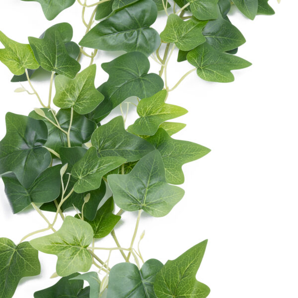 GloboStar® Artificial Garden ENGLISH IVY GARLAND 21146 Τεχνητή Διακοσμητική Αγγλική Γυρλάντα  Φ20 x Υ200cm Σετ 2 τεμαχίων - Image 2