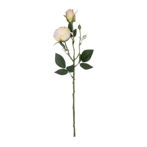 GloboStar® Artificial Garden CHAMPAGNE DAMASK CLIMBING ROSE BRANCH 21198 Τεχνητό Διακοσμητικό Κλαδί Τριαντάφυλλο Σαμπανιζέ Y55cm