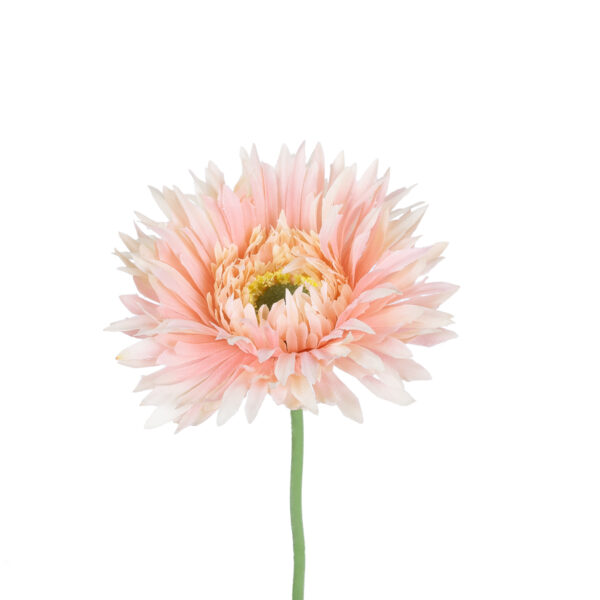 GloboStar® Artificial Garden PINK GERBERA  BRANCH 21205 Τεχνητό Διακοσμητικό Κλαδί Ζέρμπερας Ροζ Y44cm - Image 2