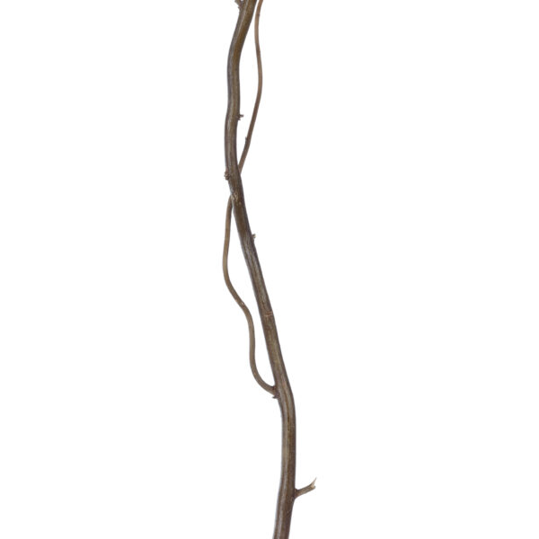 GloboStar® Artificial Garden REAL DRIED WITHERED VINE STEM 21220 Τεχνητό Διακοσμητικό Κλαδί Αμπελιού Y120cm - Image 2