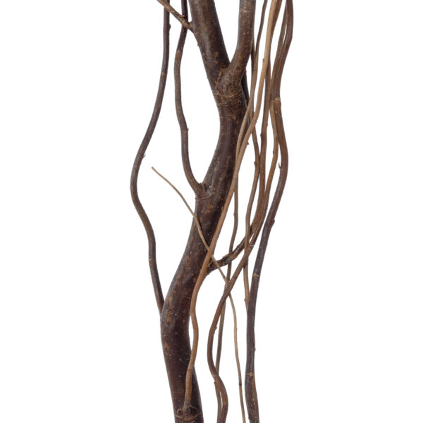 GloboStar® Artificial Garden REAL DRIED WITHERED VINE STEM 21221 Τεχνητό Διακοσμητικό Κλαδί Αμπελιού Y180cm - Image 2