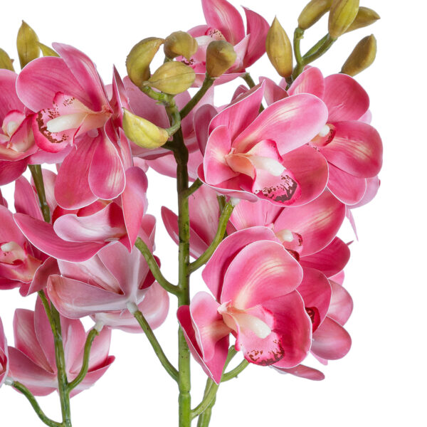 GloboStar® Artificial Garden PINK CHERRY CYMBIDIUM 21402 Διακοσμητικό Φυτό Φούξια Κυμβίδιο Υ60cm - Image 2