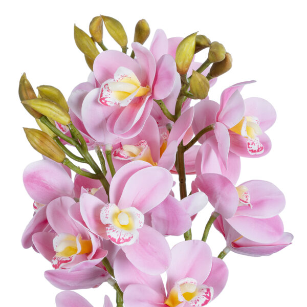 GloboStar® Artificial Garden PALE PINK CHERRY CYMBIDIUM 21403 Διακοσμητικό Φυτό Ροζ Κυμβίδιο Υ60cm - Image 2