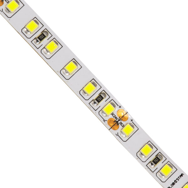 GloboStar® 70230 Ταινία LED SMD 2835 5m 8W/m 120LED/m 1280 lm/m 120° DC 24V IP20 Ψυχρό Λευκό 6000K - 5 Χρόνια Εγγύηση - Image 2