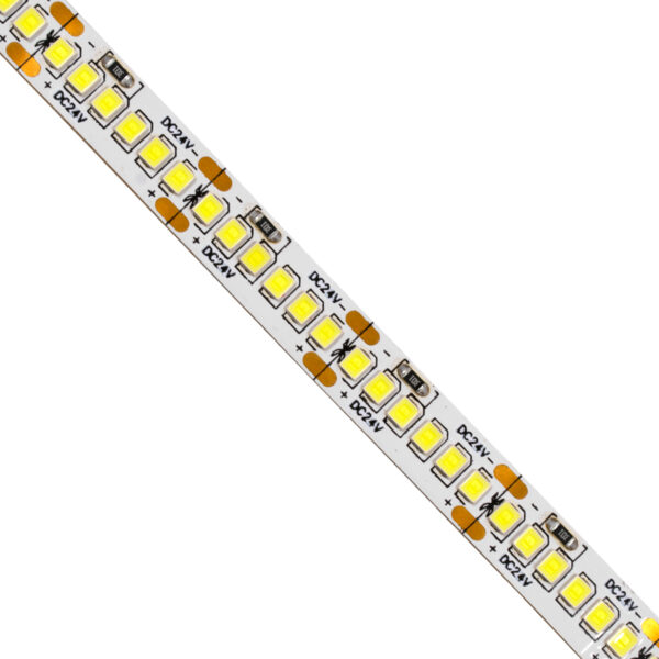 GloboStar® 70240 Ταινία LED SMD 2835 5m 16W/m 240LED/m 2880lm/m 120° DC 24V IP20 Ψυχρό Λευκό 6000K - Image 2