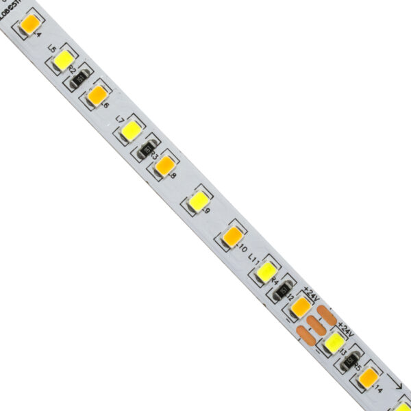 GloboStar® 70260 Ταινία LED SMD 2835 CCT 3in1 5m 12W/m 120LED/m 120° DC 24V IP20 1440lm/m Ψυχρό Λευκό 6000K & 1400lm/m Φυσικό Λευκό 4500K & 1360lm/m Θερμό Λευκό 3000K - Image 2