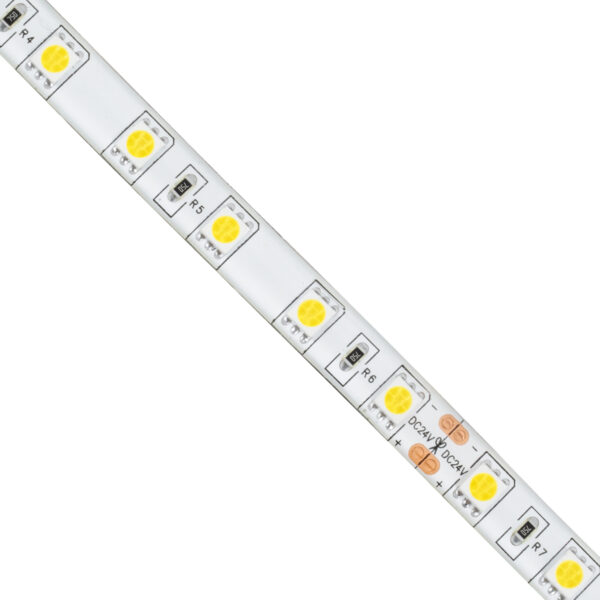 GloboStar® 70320 Ταινία LED SMD 5050 5m 14.4W/m 60LED/m 1584 lm/m 120° DC 24V Αδιάβροχη IP65 Ψυχρό Λευκό 6000K - 5 Χρόνια Εγγύηση - Image 2