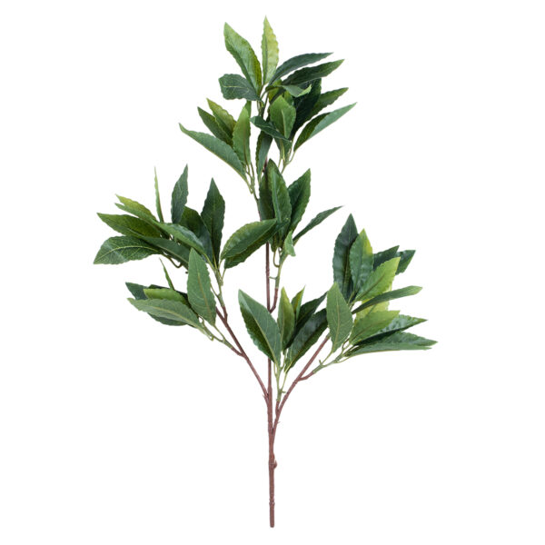 GloboStar® Artificial Garden LAURUS NOBILIS BRANCH 20225 10 x Τεχνητά Διακοσμητικά Κλαδία Δάφνης Π45 x Υ60cm - Image 2