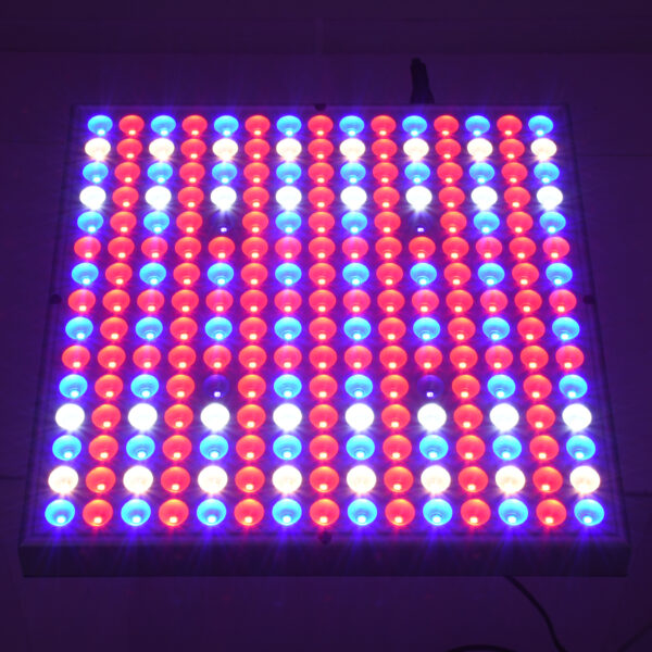 GloboStar® 85954 Grow Light Panel Full Spectrum LED Φωτιστικό Ανάπτυξης Φυτών Θερμοκηπίου SMD 2835 100W 160° AC230V IP54 Εσωτερικού Χώρου για Κάλυψη Επιφάνειας 1m x 1m Πλήρους Φάσματος Φωτισμού - Image 8